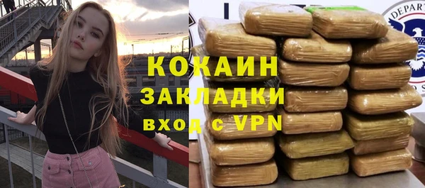 мет Няндома