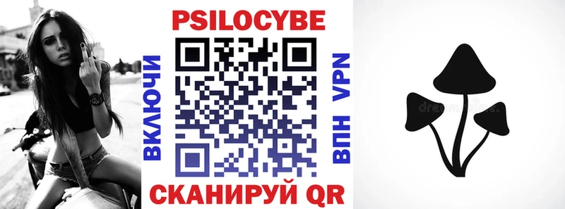Псилоцибиновые грибы прущие грибы  Суздаль 